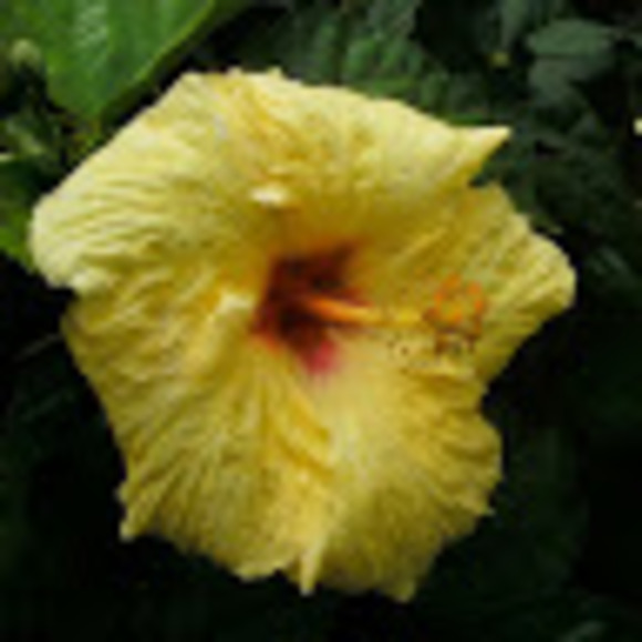 Meet your Posher, Jeff - Picture 1 of 1